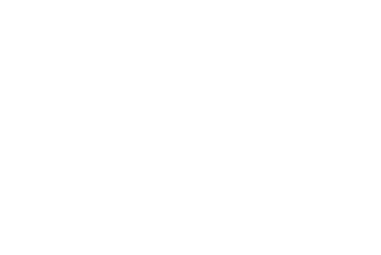 grupo-xynter-logo